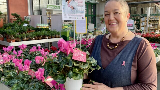 Nastro Rosa AIRC: Un Ciclamino per sconfiggere il cancro