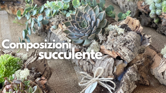 Un’estate succulente