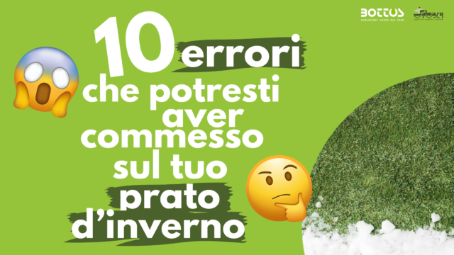 Errori e pratiche corrette per il vostro prato in inverno