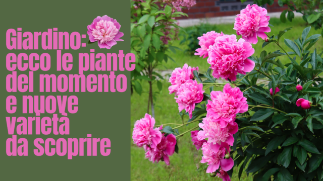 Giardino: ecco le piante del momento e nuove varietà tutte da scoprire